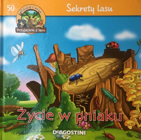 ŻYCIE W PNIAKU SEKRETY LASU 