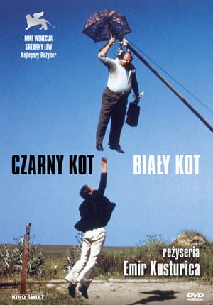 CZARNY KOT BIAŁY KOT EMIR KUSTURICA SEVERDZAN DVD