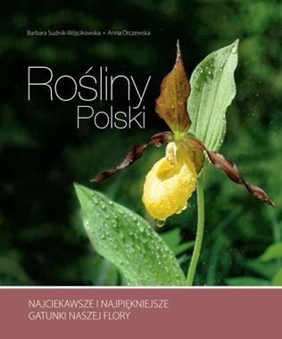 ROŚLINY POLSKI B SUDNIK WÓJCIKOWSKA A ORCZEWSKA STR 320
