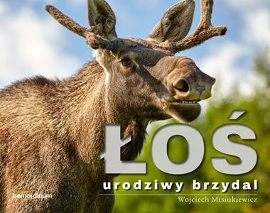 ŁOŚ URODZIWY BRZYDAL WOJCIECH MISIUKIEWICZ STR 192