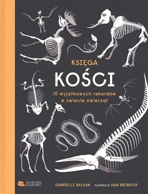 KSIĘGA KOŚCI G BALKAN