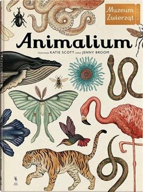 ANIMALIUM MUZEUM ZWIERZĄT J BROOM K SCOTT