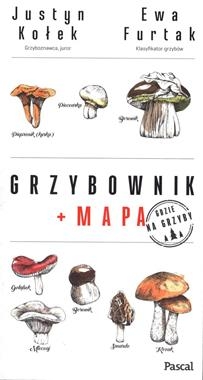 GRZYBOWNIK JUSTYN KOŁEK EWA FURTAK STR 256