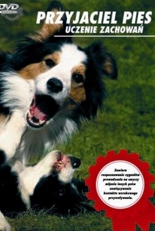 PRZYJACIEL PIES UCZENIE ZACHOWAŃ dvd