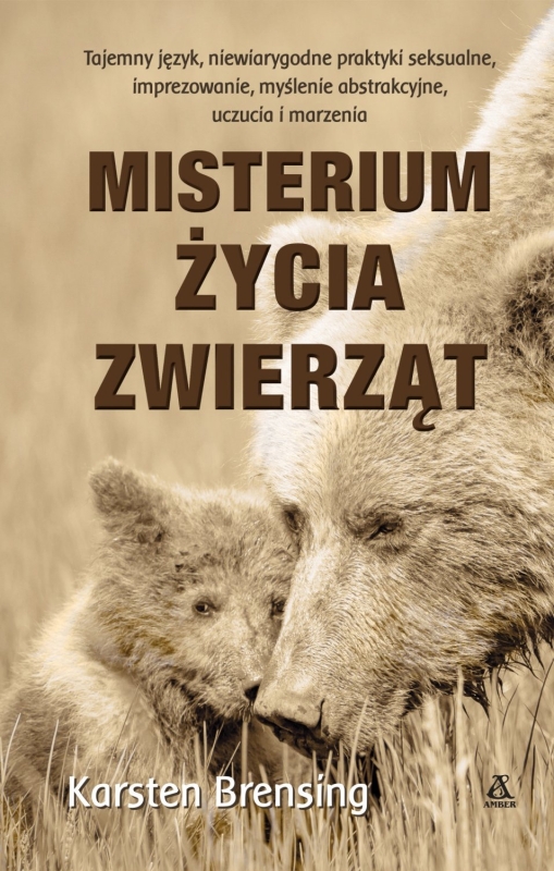 3a6c323a4a8ba5886ef5dbf412e2