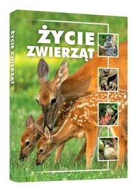 ŻYCIE ZWIERZĄT KOZIŃSKI REMIGIUSZ