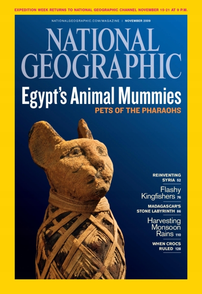 11/2009 NATIONAL GEOGRAPHIC EGYPT'S ANIMAL MUMMIES