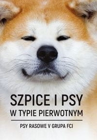 976564i.jpg