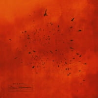 ORGANEK 2 CD CZARNA MADONNA  REEDYCJA 