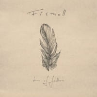 FISMOLL CD BOX OF FEATHERS