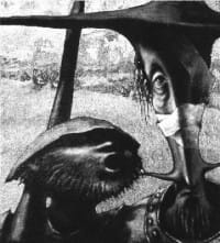 STRACHY NA LACHY CD DODEKAFONIA 