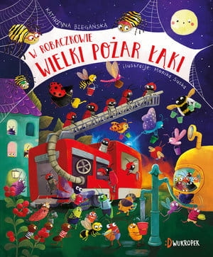 W ROBACZKOWIE WIELKI POŻAR ŁĄKI K BIEGAŃSKA 