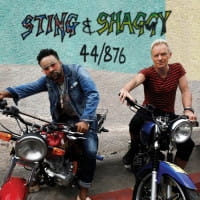 44/876 PL CD STING SHAGGY