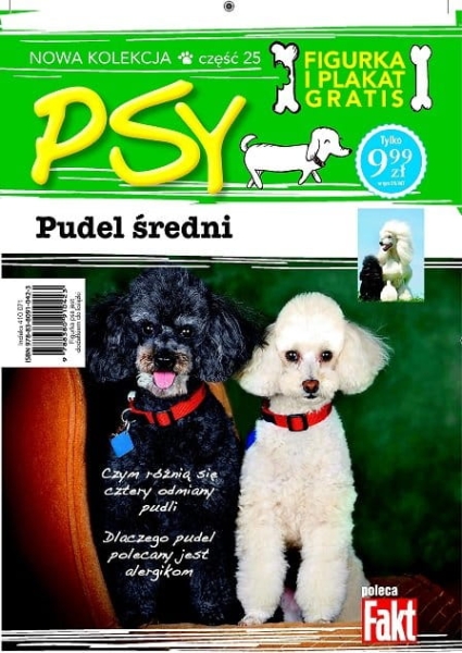 PSY KOLEKCJA 25 PUDEL ŚREDNI + FIGURKA 