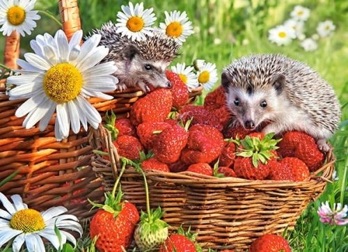 52-puzzle-200-elementow-stra.jpg