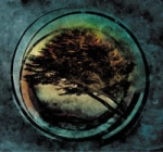 AURA CD TIDES FROM NEBULA