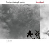 0c7fbf85907b66e-last-leaf-cd_200.jpg