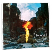 MIGRATION CD BONOBO