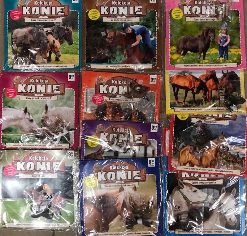 80405665_2523000534638904_2378066857140682752_n.jpg