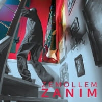  ZANIM CD ZEMOLLEM