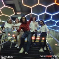 BLOSSOMS CD FOOLISH LOVING SPACES
