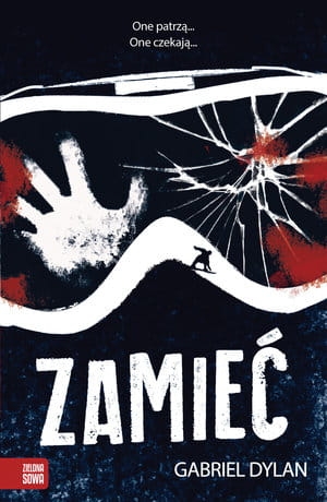 ZAMIEĆ G DYLAN 336 STR