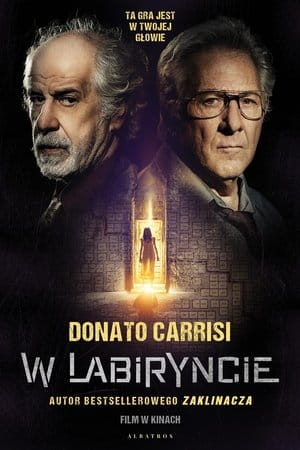W LABIRYNCIE D CARRISI 336 STR