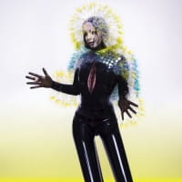 VULNICURA CD BJORK
