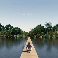 GODIN NICOLAS CD CONCRETE AND GLASS