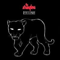 FELINE CD THE STRANGLERS