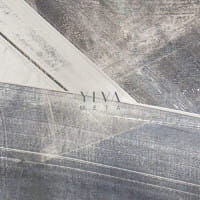 META CD YLVA