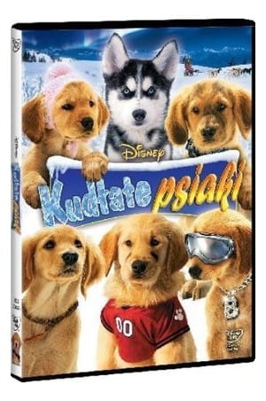 KUDŁATE PSIAKI DISNEY TO ŚNIEŻNE SZCZENIAKI DVD  