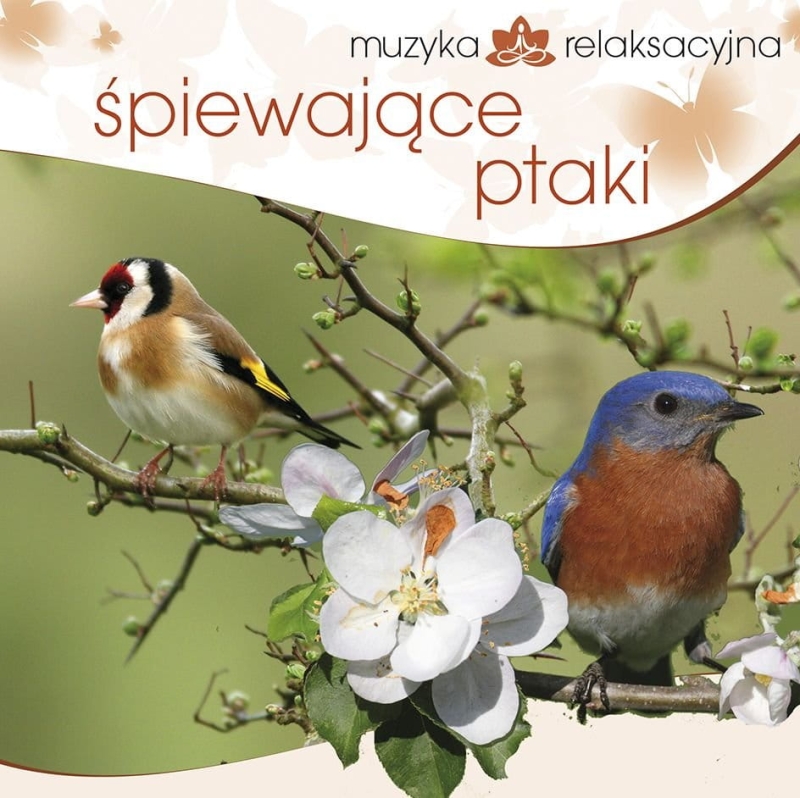 c5-muzyka-relaksacyjna-spiew.jpg