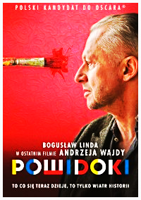 POWIDOKI DVD WAJDA LINDA STRZEMIŃSKI FOLIA 