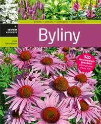 b4275fd9f1d4ea0178d35-byliny_200.jpg