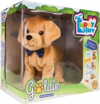 GOLDIE PIES INTERAKTYWNY