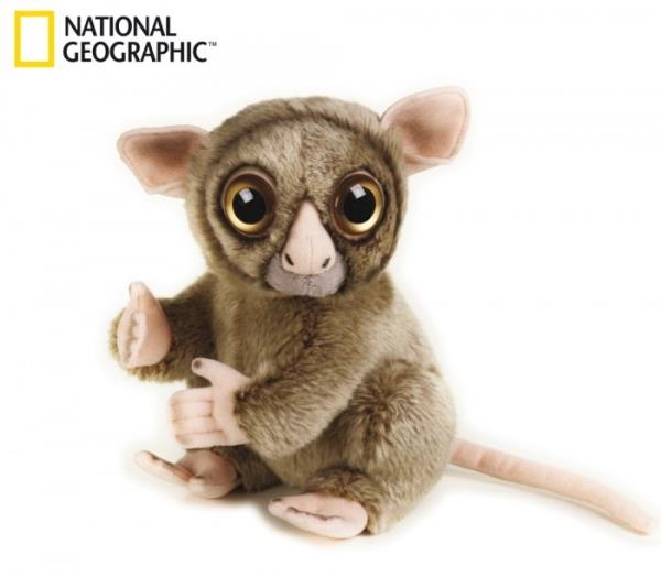WYRAK 70772