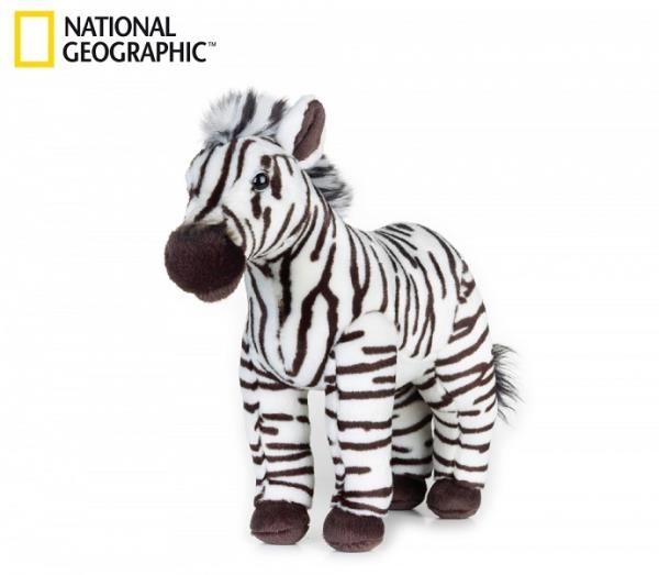 90e6830024e129ce-zebra-70720.jpg