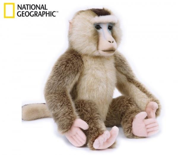 MAKAK ORIENTALNY 70816 NATIONAL GEOGRAPHIC