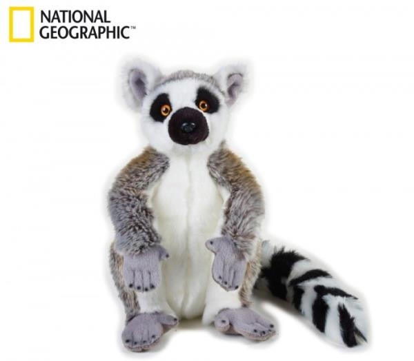 75f41fa77cadcdf3-lemur-70757.jpg