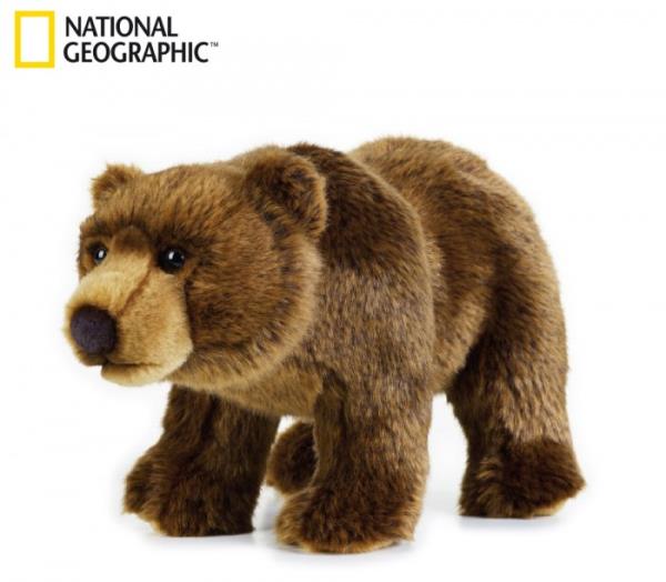 47b-niedzwiedz-grizzli-70740.jpg