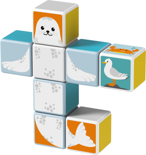 b5-magicube-zestaw-zwierzeta.jpg
