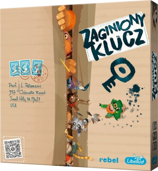 GRA ZAGINIONY KLUCZ WSPÓŁPRACA DEDUKCJA SKOJARZENIA