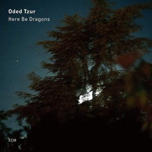 ODED TZUR HERE BE DRAGONS CD