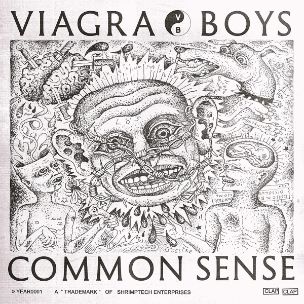 VIAGRA BOYS COMMON SENSE LP WINYL