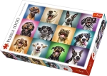 PUZZLE 1000 ELEMENTÓW ZABAWNE PSIE PORTRETY