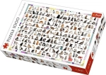 PUZZLE 1000 ELEMENTÓW 208 KOTÓW TREFL  