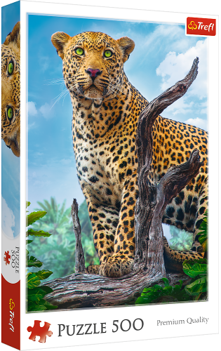 06314-puzzle-500-elementow-d.jpg