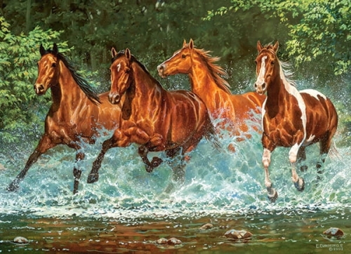 8c-puzzle-300-elementow-casc.jpg