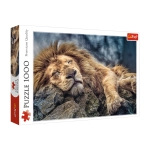 PUZZLE 1000 ŚPIĄCY LEW 104477 TREFL 